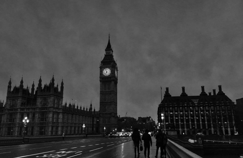 democra parliament