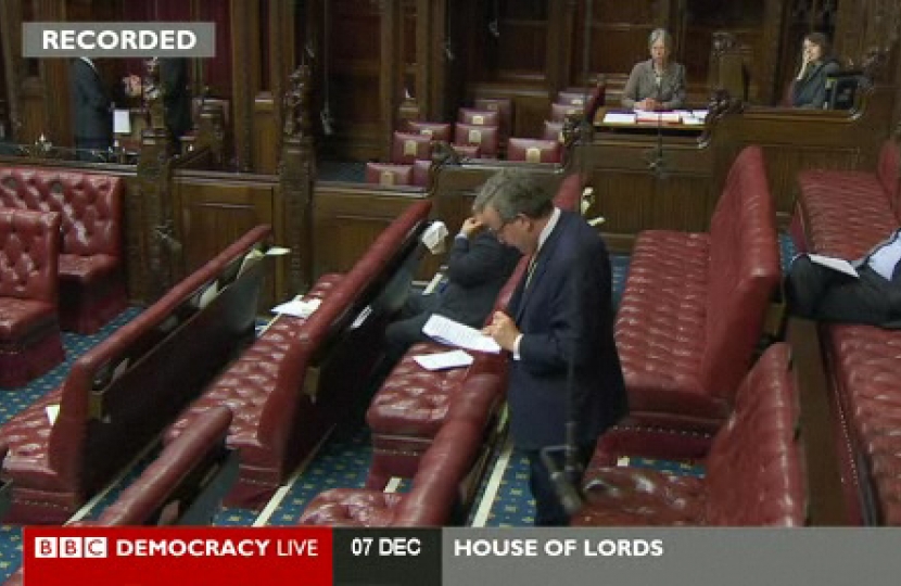 Lord Lexden speaks in the House of Lords and calls for greater partnership betwe