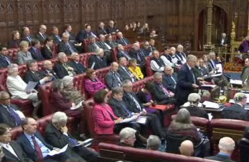 Lord Lexden in the House of Lords chamber