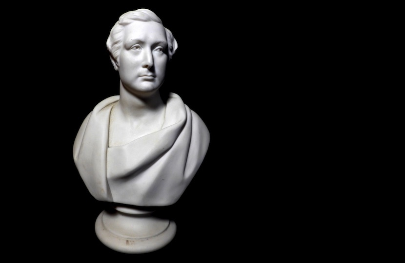 bust