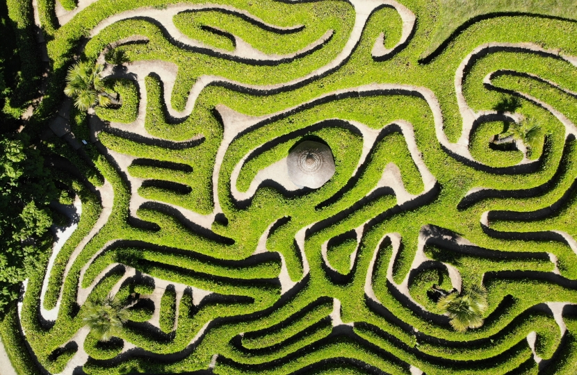 maze