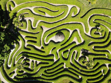 maze