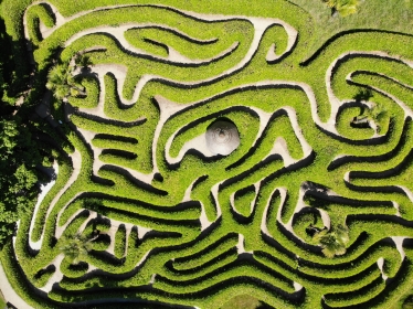 maze